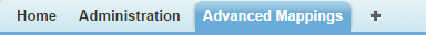 Advanced Mappings