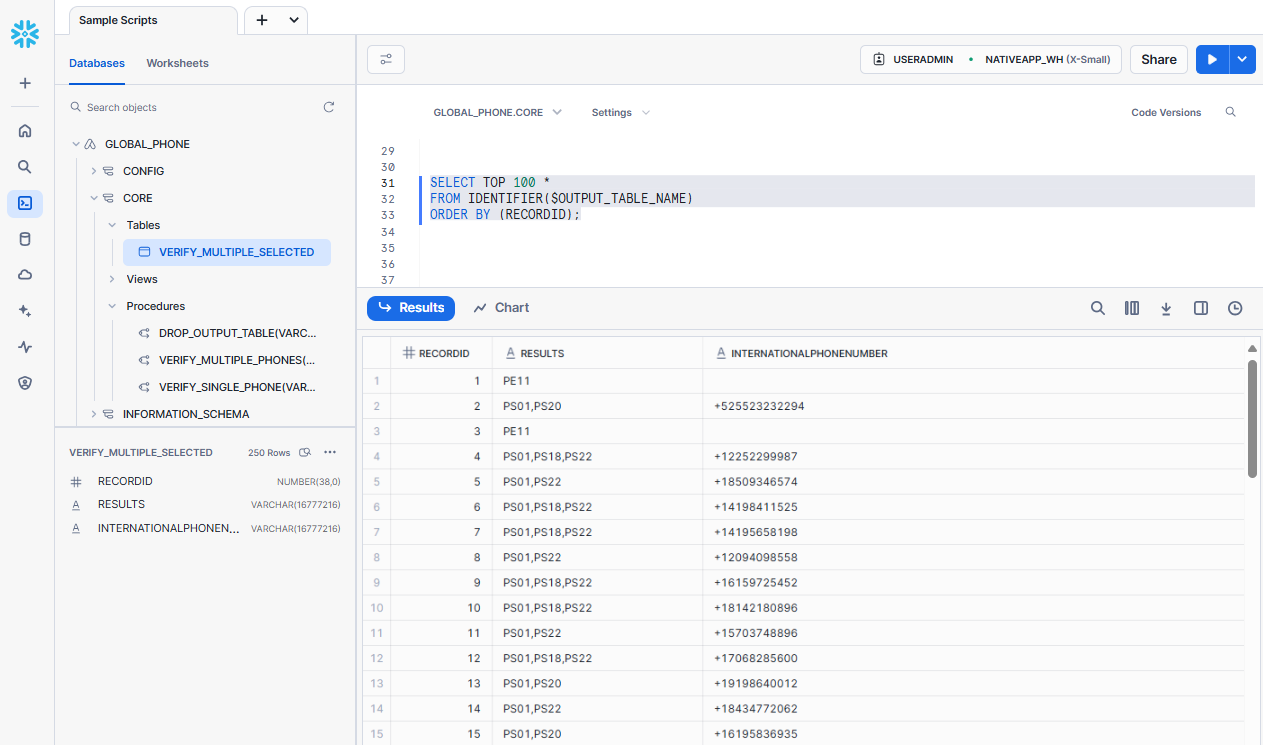 ../../_images/Snowflake-GlobalPhone-Stored-Procedures-Verify-Multiple-Selected-Output-Table-View.png